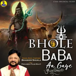 Bhole Baba Aa Gaye Om Namah Shivay